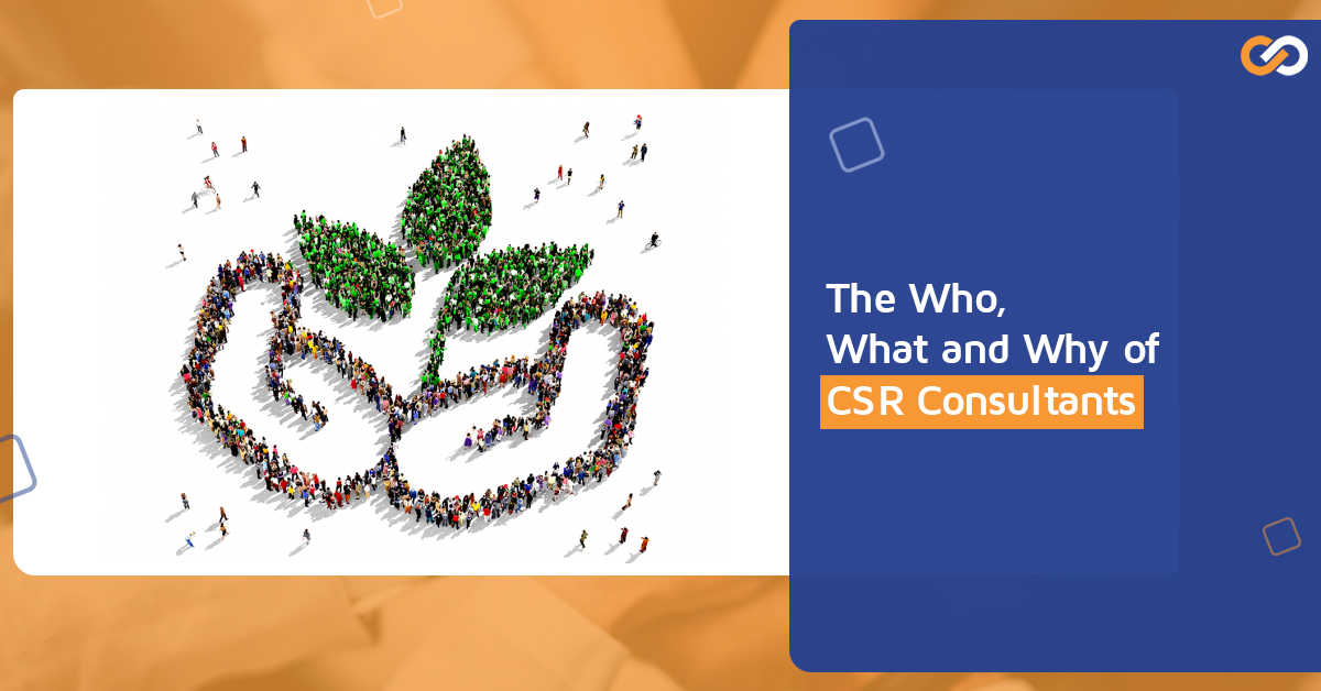 The Who, What and Why of CSR Consultants