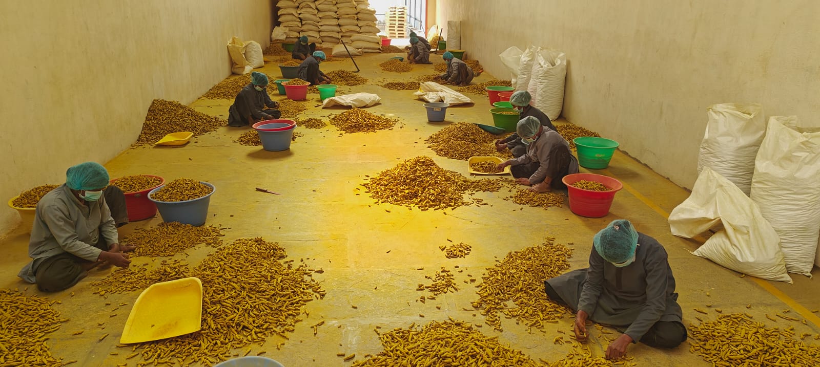 Intervention with Turmeric Processing Units